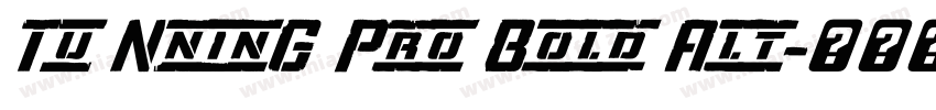 Tu NninG Pro Bold Alt字体转换